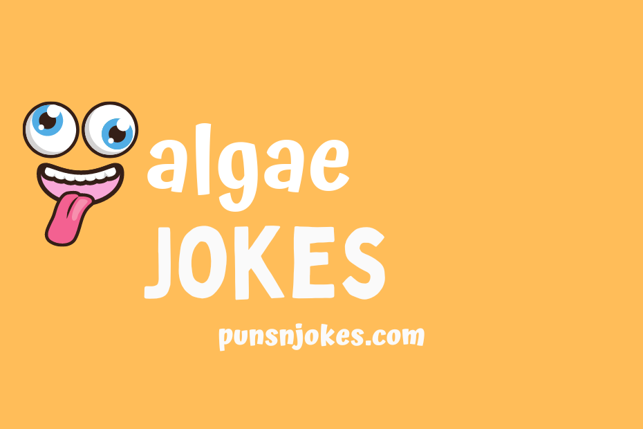 funny algae jokes