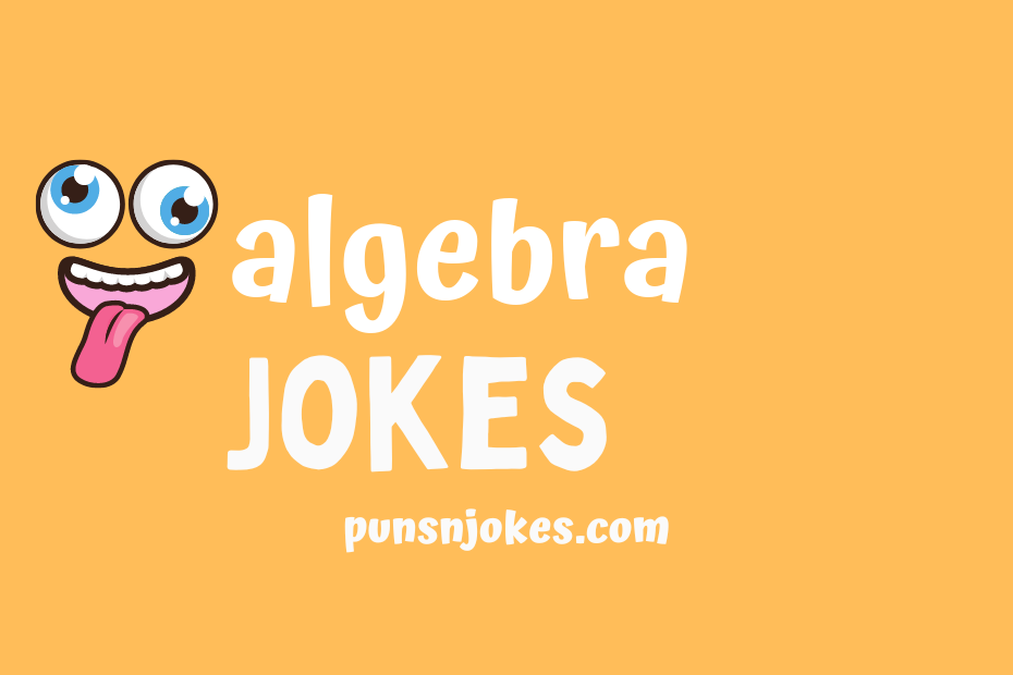 funny algebra jokes