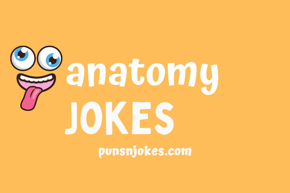 Anatomy Jokes: A Collection of Humorous Body Puns – Puns N Jokes