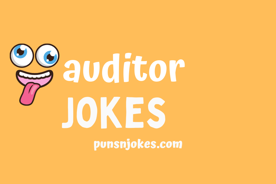 funny auditor jokes