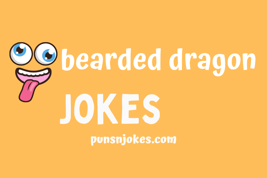 funny bearded dragon jokes