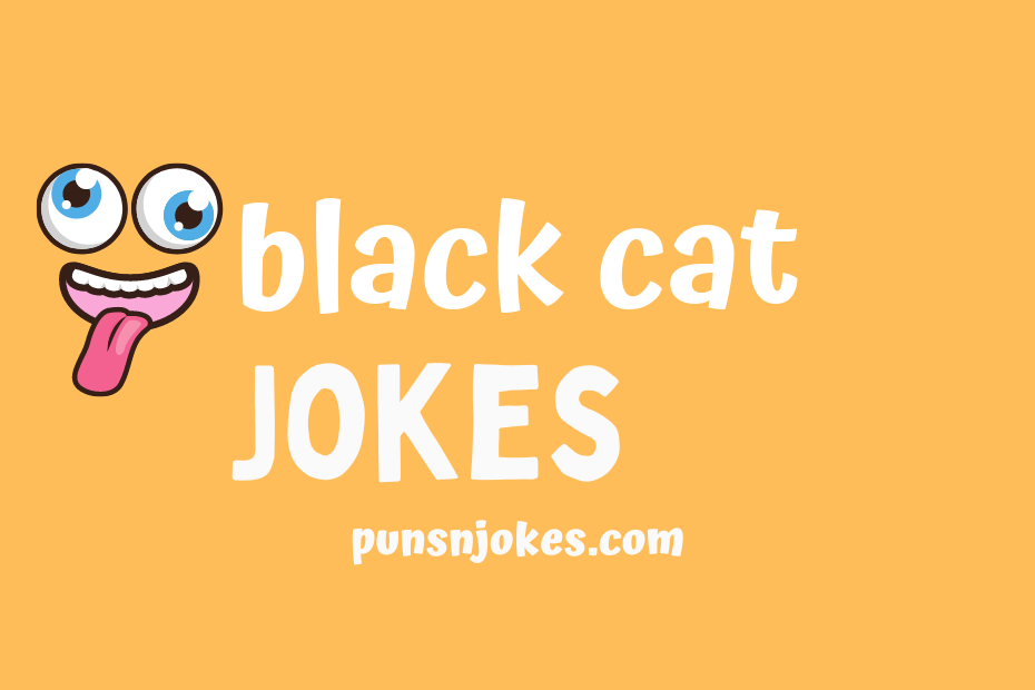 funny black cat jokes