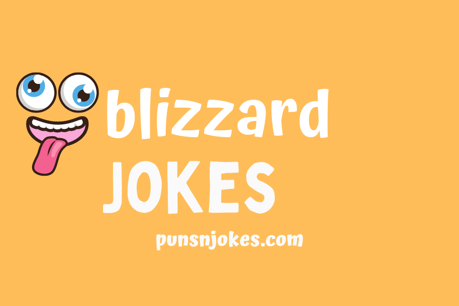 funny blizzard jokes