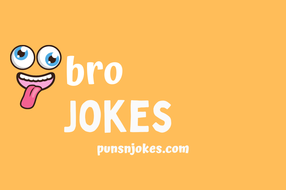 funny bro jokes