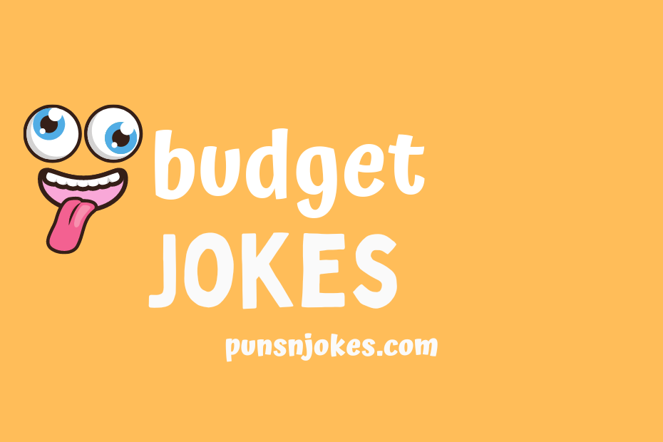 funny budget jokes