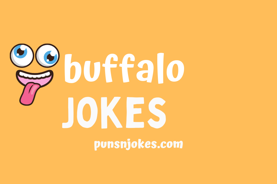 funny buffalo jokes