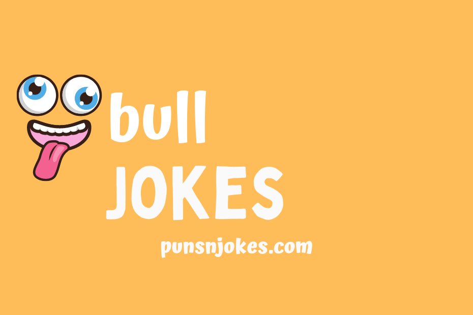 funny bull jokes