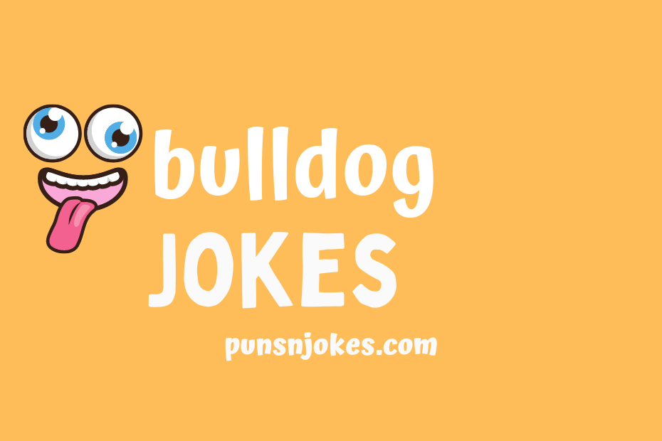 funny bulldog jokes