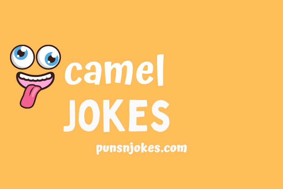 funny camel jokes