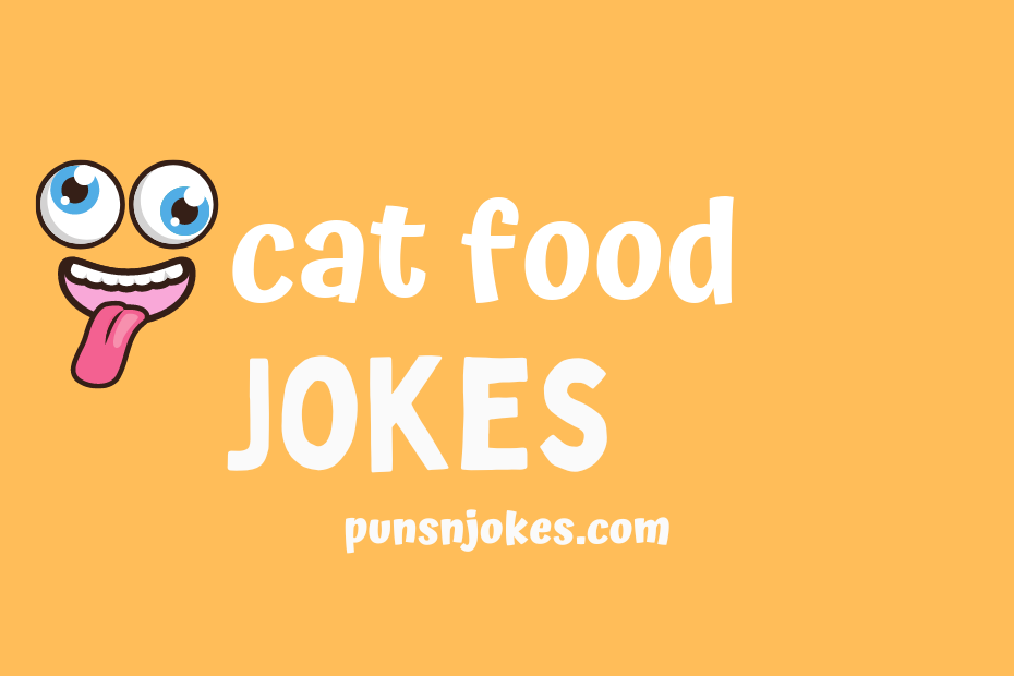 funny cat food jokes
