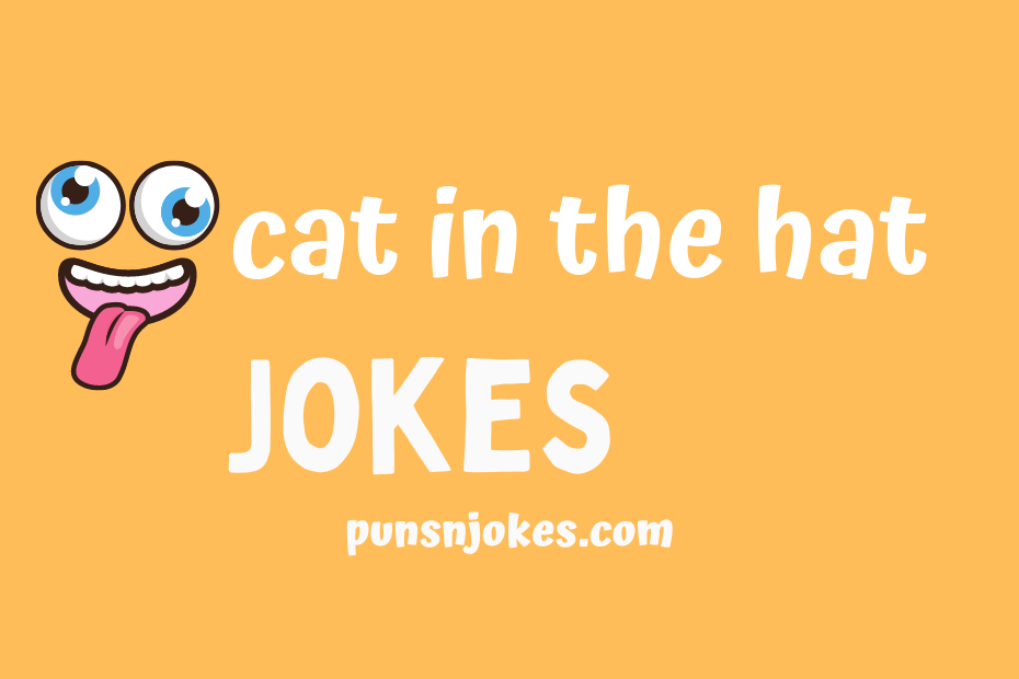funny cat in the hat jokes