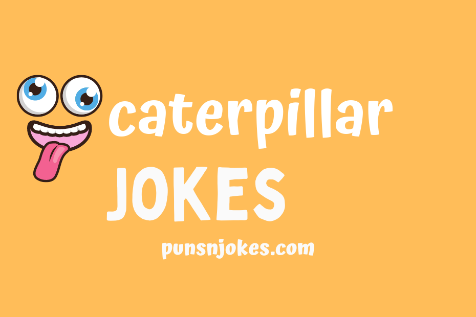 funny caterpillar jokes