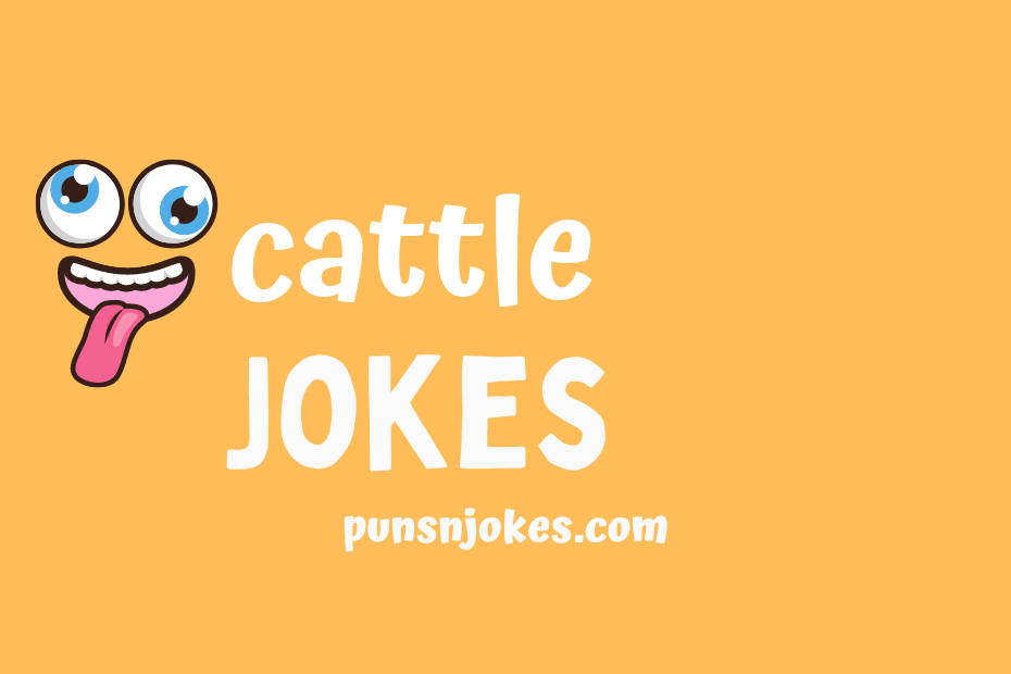 funny cattle jokes