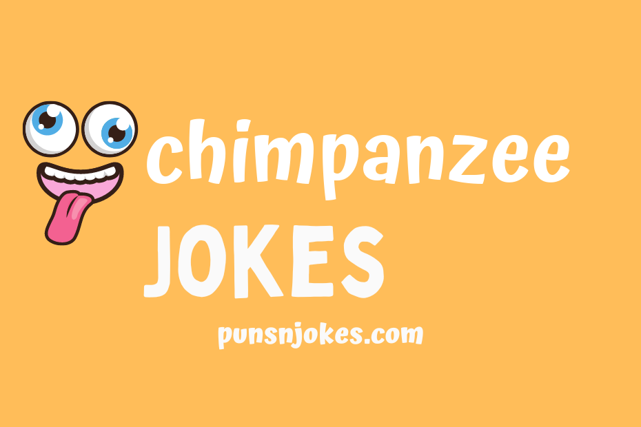 funny chimpanzee jokes