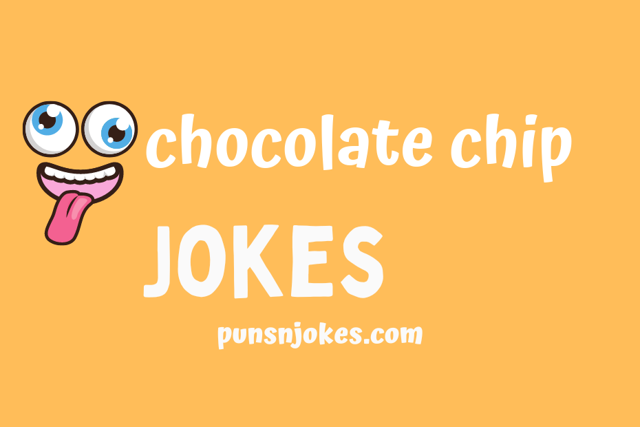 funny chocolate chip jokes