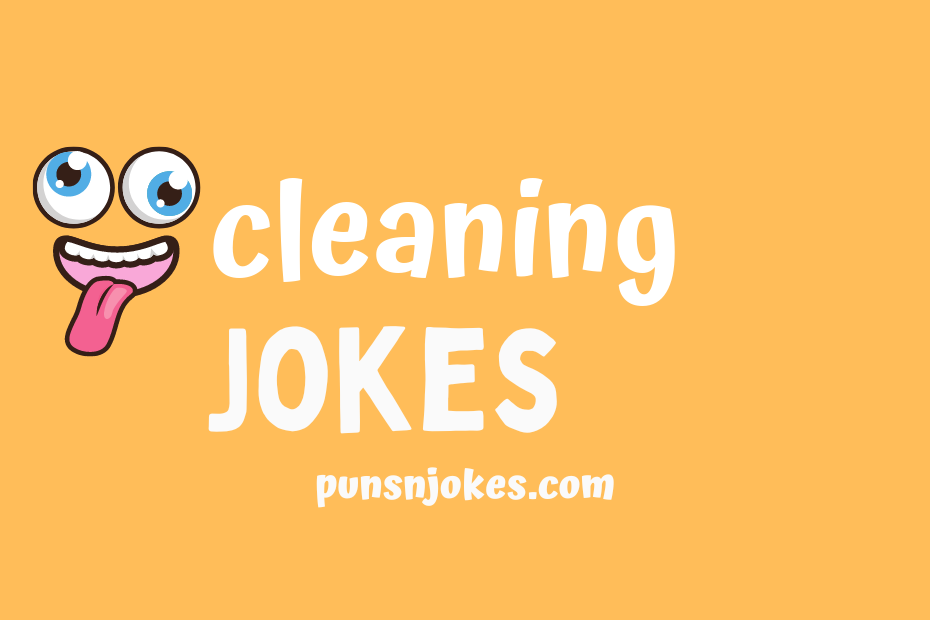 funny cleaning jokes