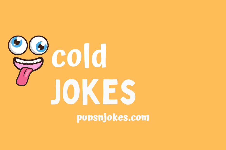 funny cold jokes