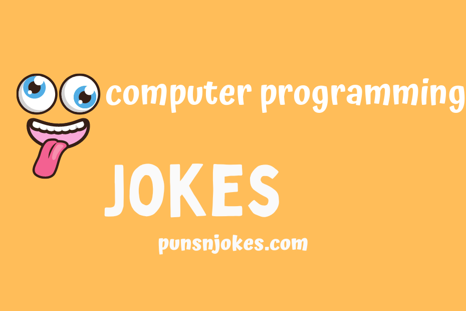 funny computer programming jokes