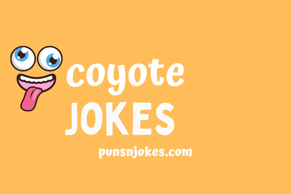 funny coyote jokes