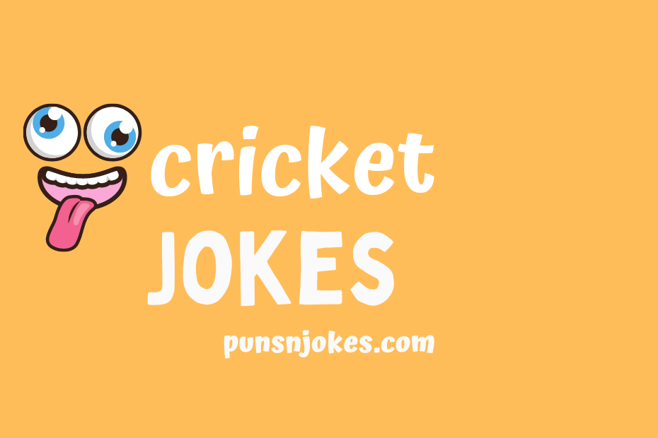 funny cricket jokes
