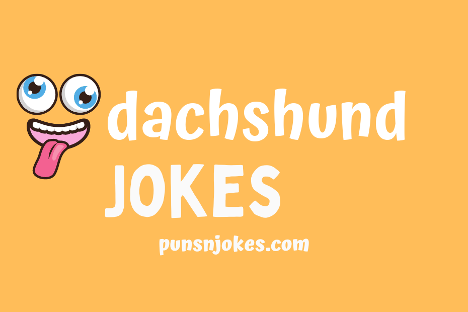 funny dachshund jokes