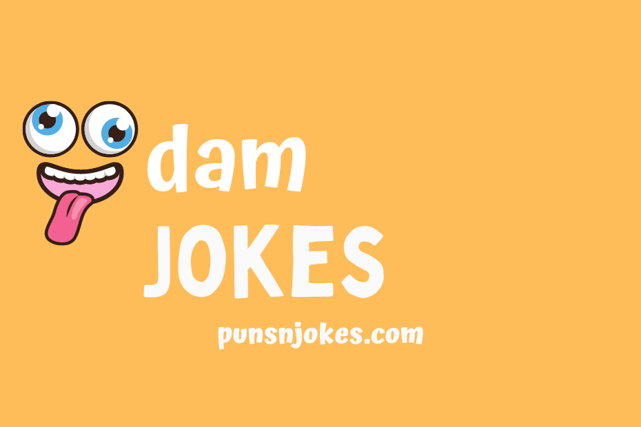 funny dam jokes