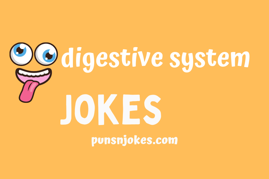 funny digestive system jokes