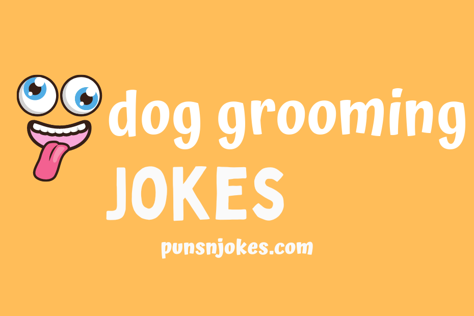 funny dog grooming jokes