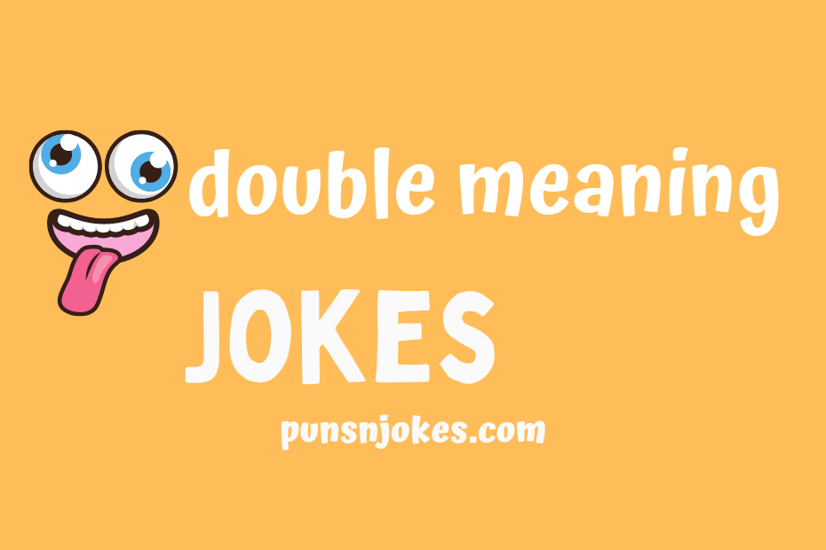 funny double meaning jokes