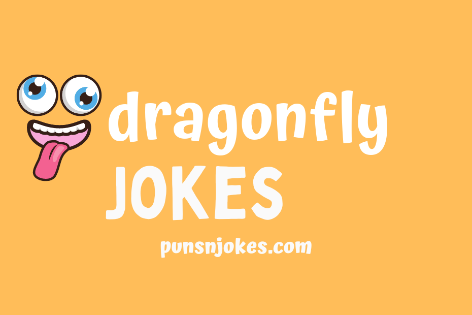 funny dragonfly jokes