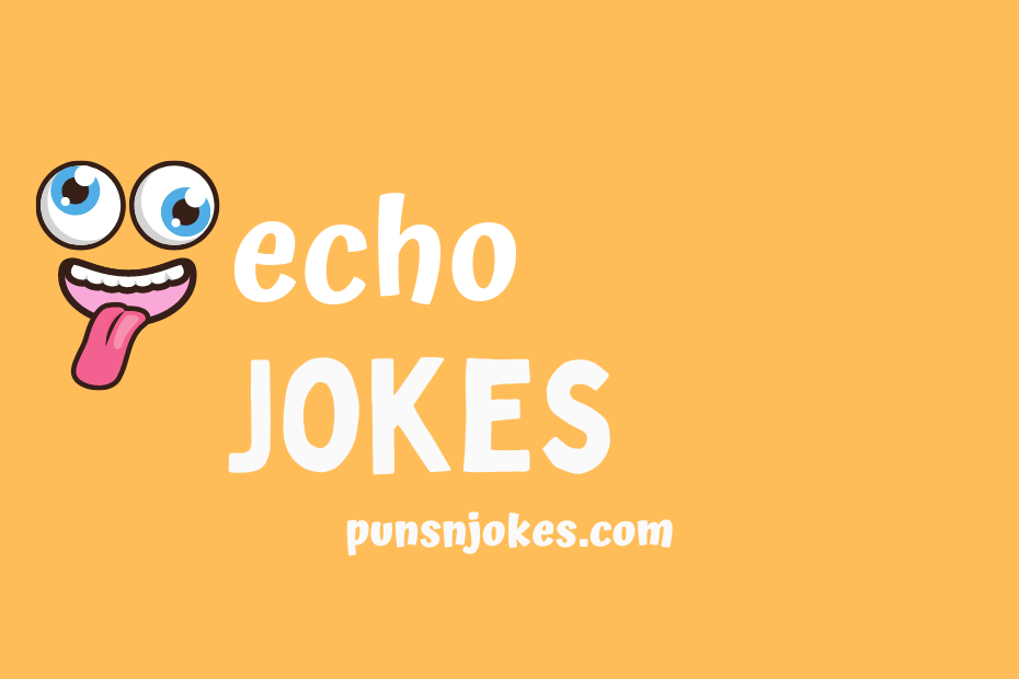 funny echo jokes