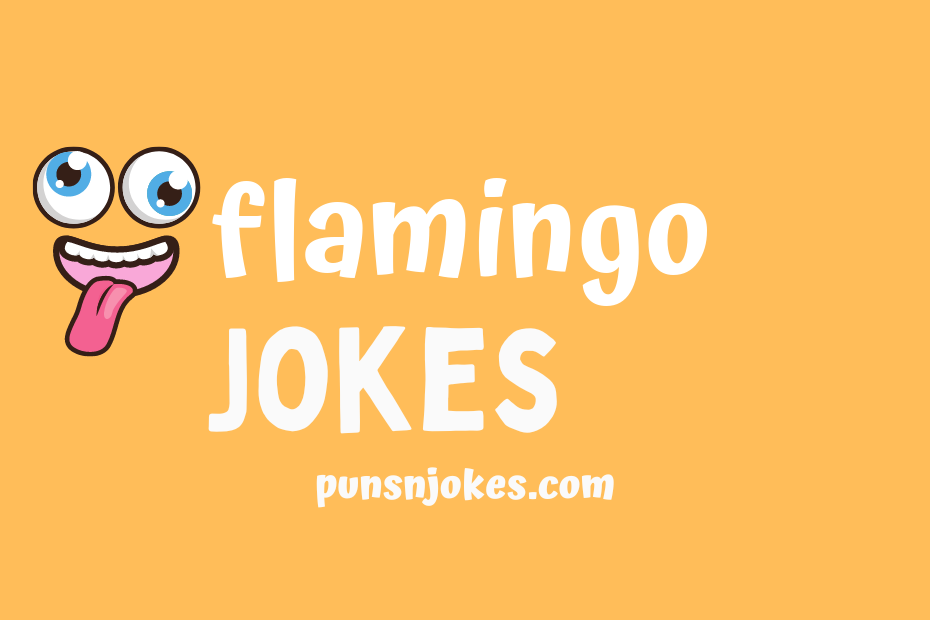 funny flamingo jokes