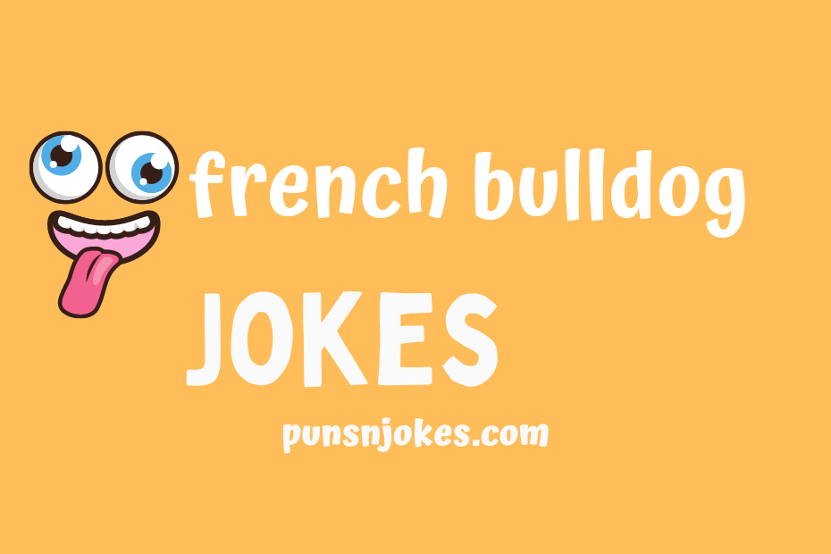 funny french bulldog jokes