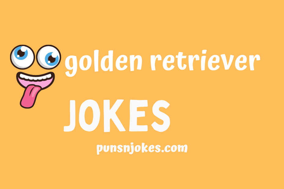 funny golden retriever jokes