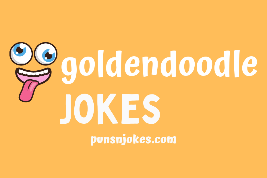 funny goldendoodle jokes