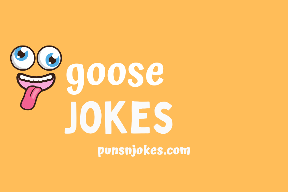 funny goose jokes