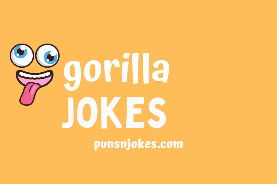 funny gorilla jokes