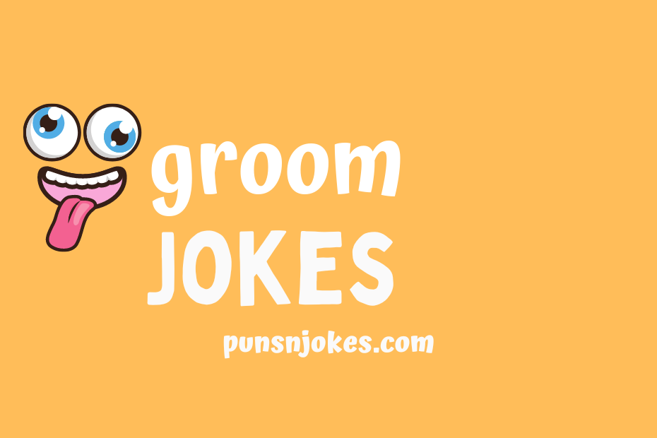 funny groom jokes