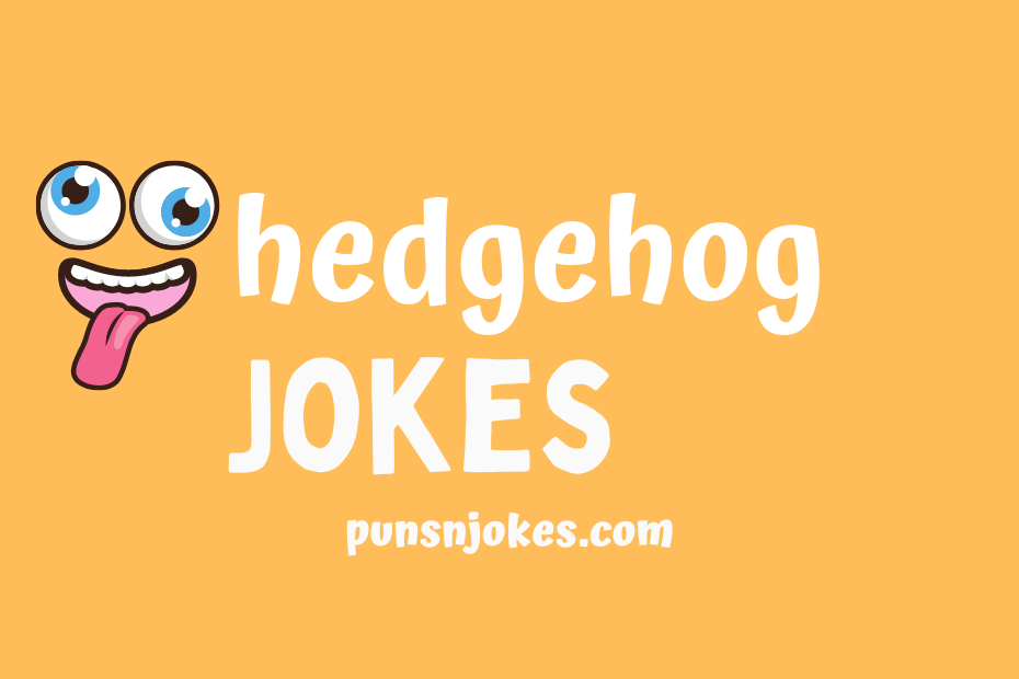 funny hedgehog jokes