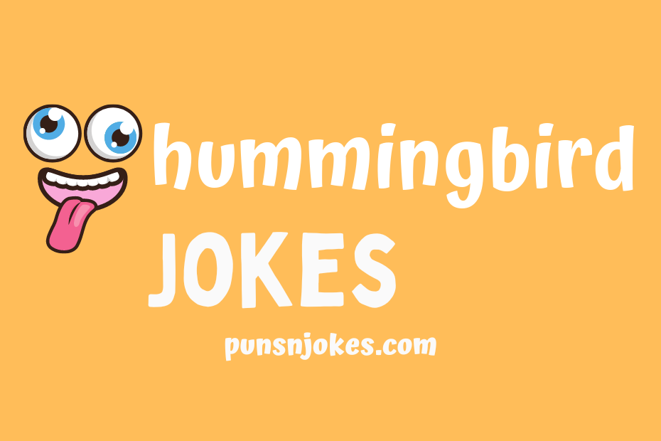 funny hummingbird jokes