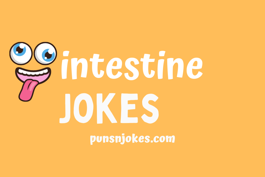 funny intestine jokes