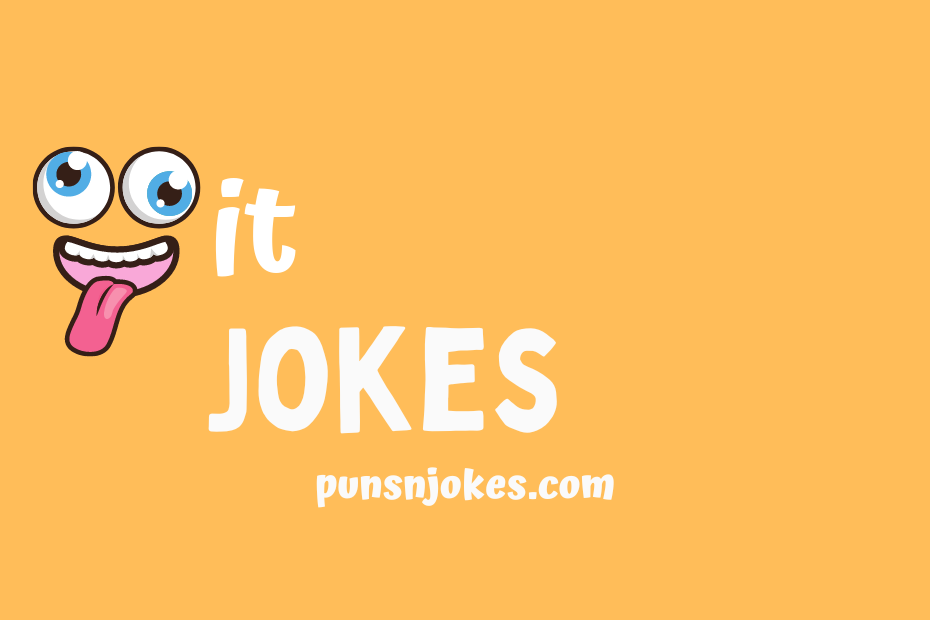 funny it jokes