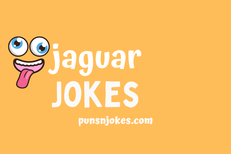 funny jaguar jokes