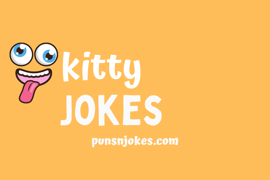 funny kitty jokes