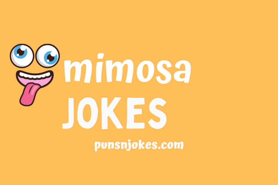 funny mimosa jokes