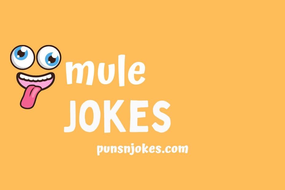 funny mule jokes