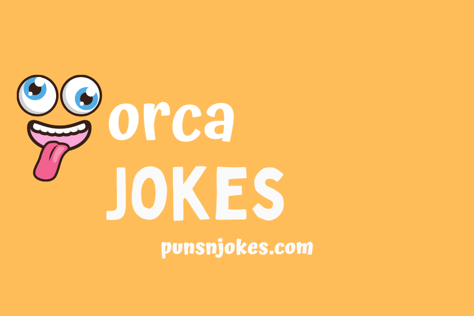 funny orca jokes