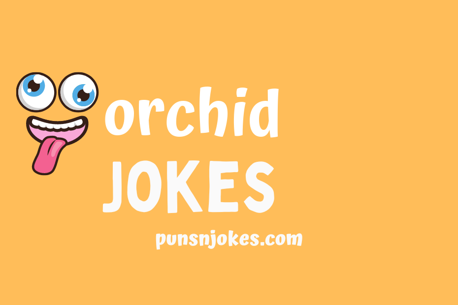 funny orchid jokes