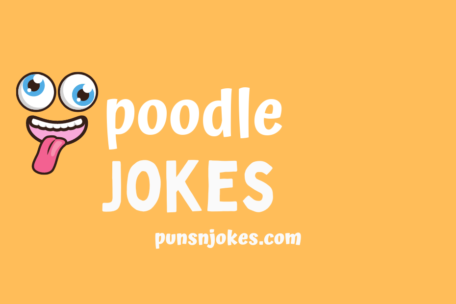 funny poodle jokes