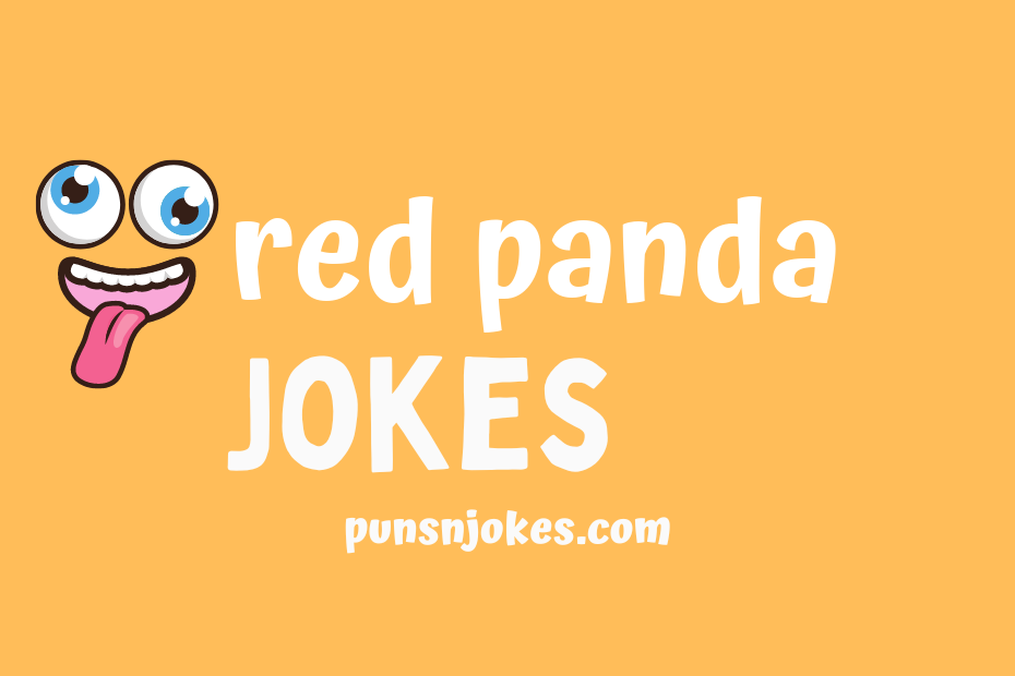 funny red panda jokes